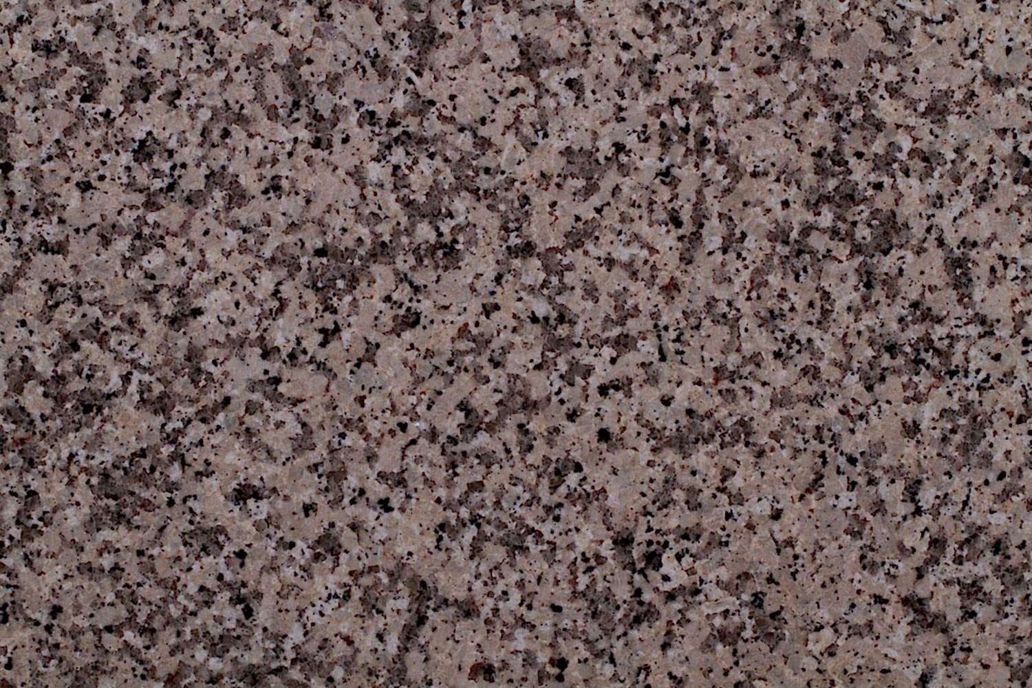 Crema Porrino