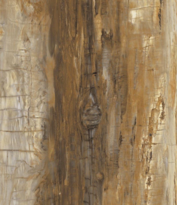 Eminent Brown
