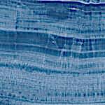 blue-onyx1