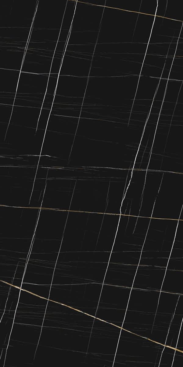 Sahara Noir