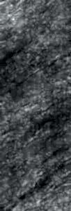 PCNF (CARDOSO NERO)