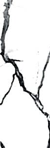 ALTM ALTS (ALTISSIMO)