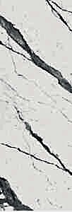 BSV (B.S. VENATO)