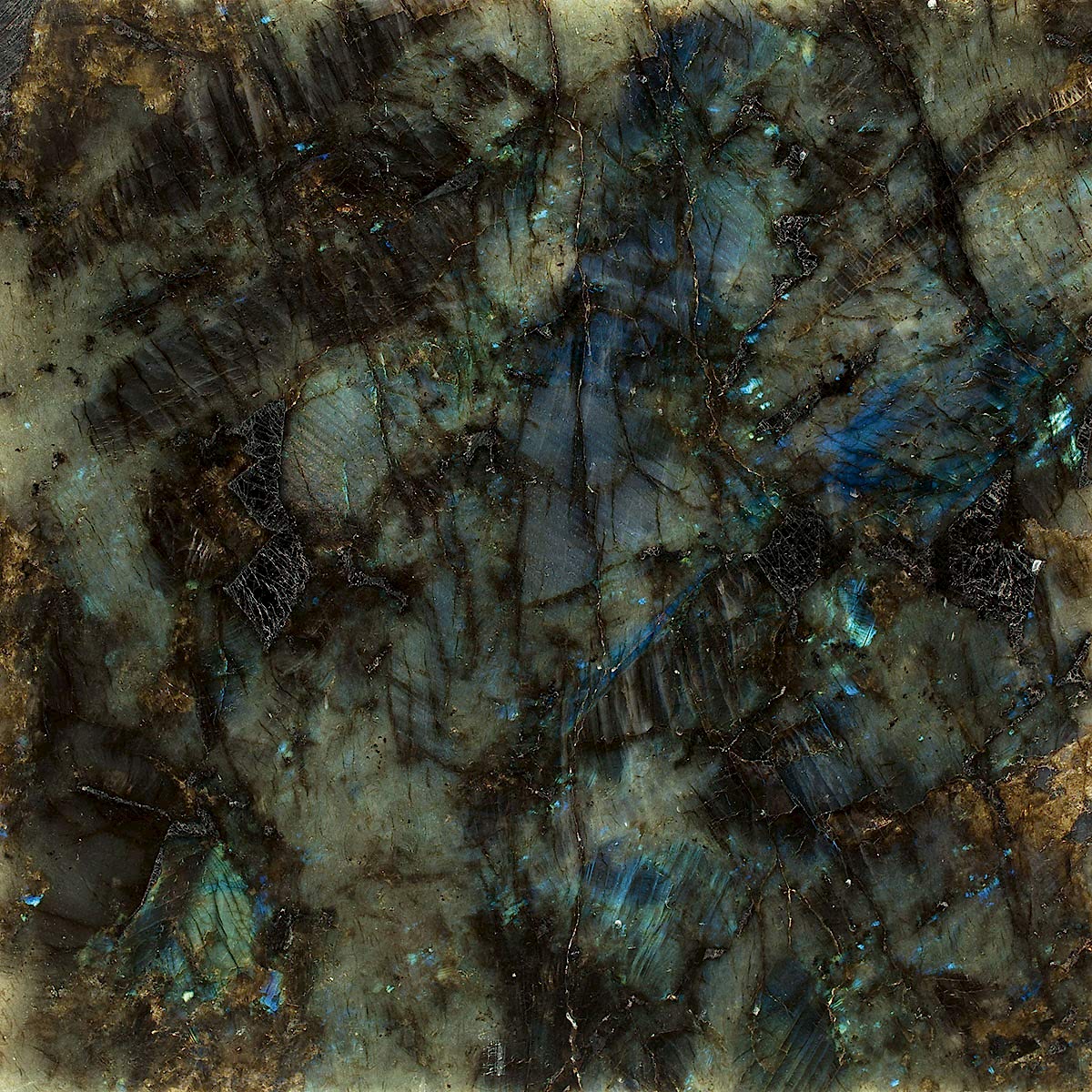 Lemurian Blue