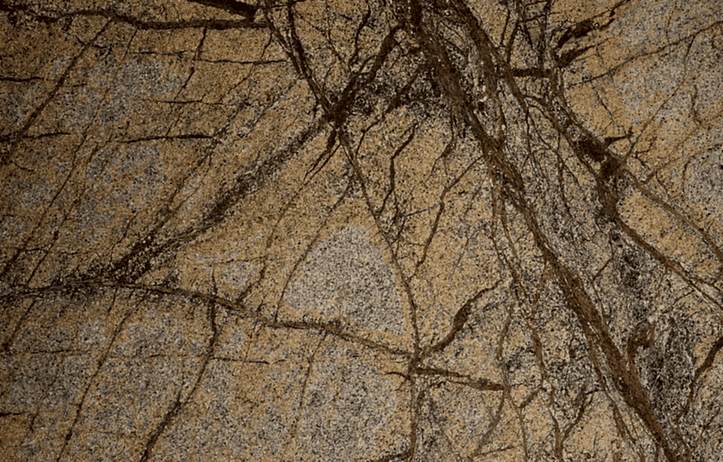 Rainforest Brown